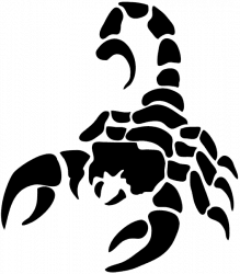 Moon in 10th house for Scorpio ascendant